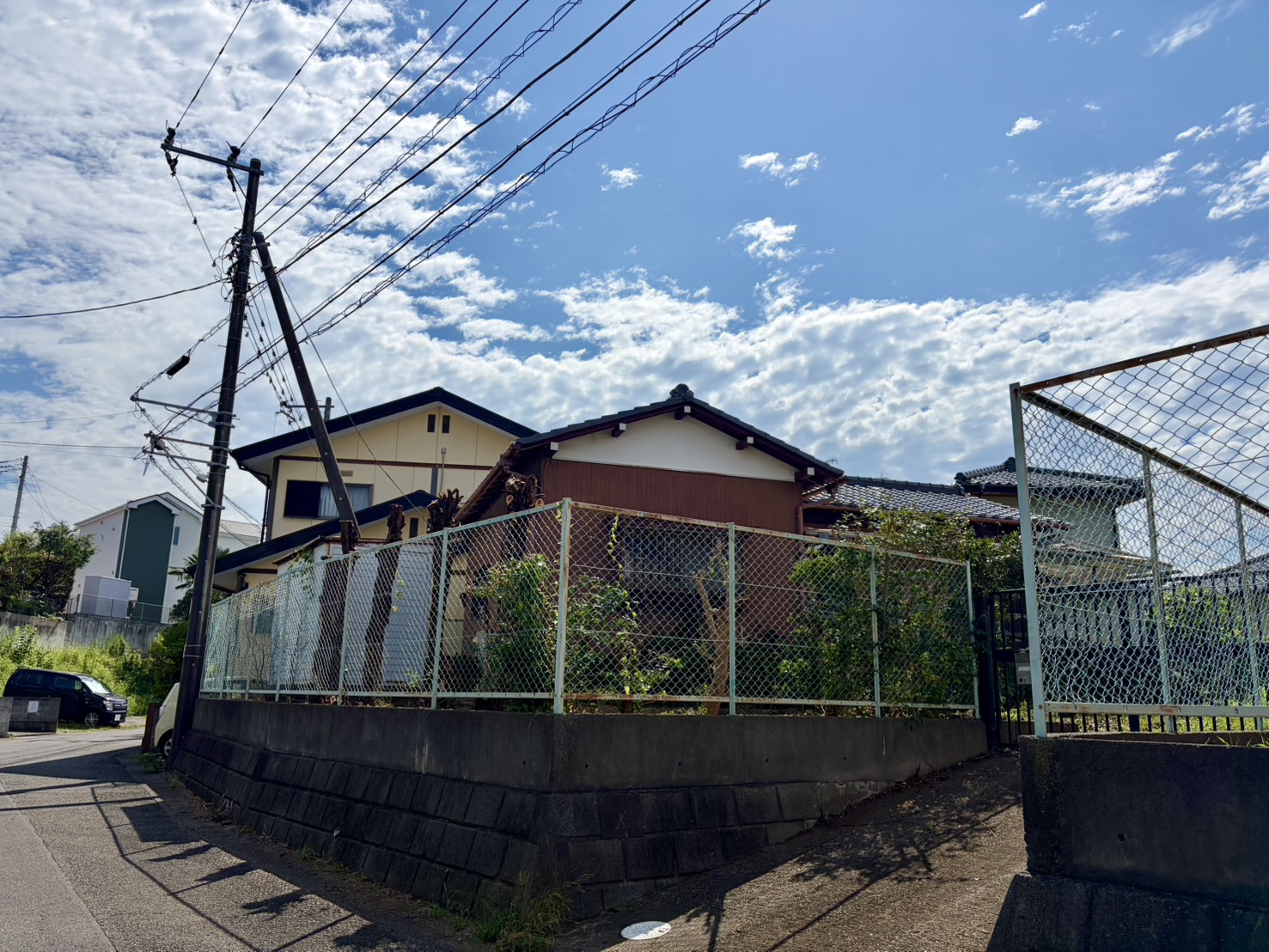 庭木の伐採作業後